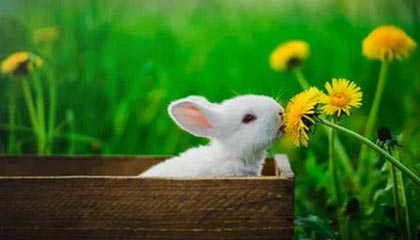 冬季重赛决定争冠球队与降级球队未来走势，冬季赛事项目