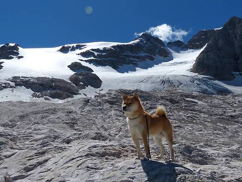 开云体育登陆入口-五大联赛是否通过压迫站位引导对手传球方向，五大联赛赛前分析