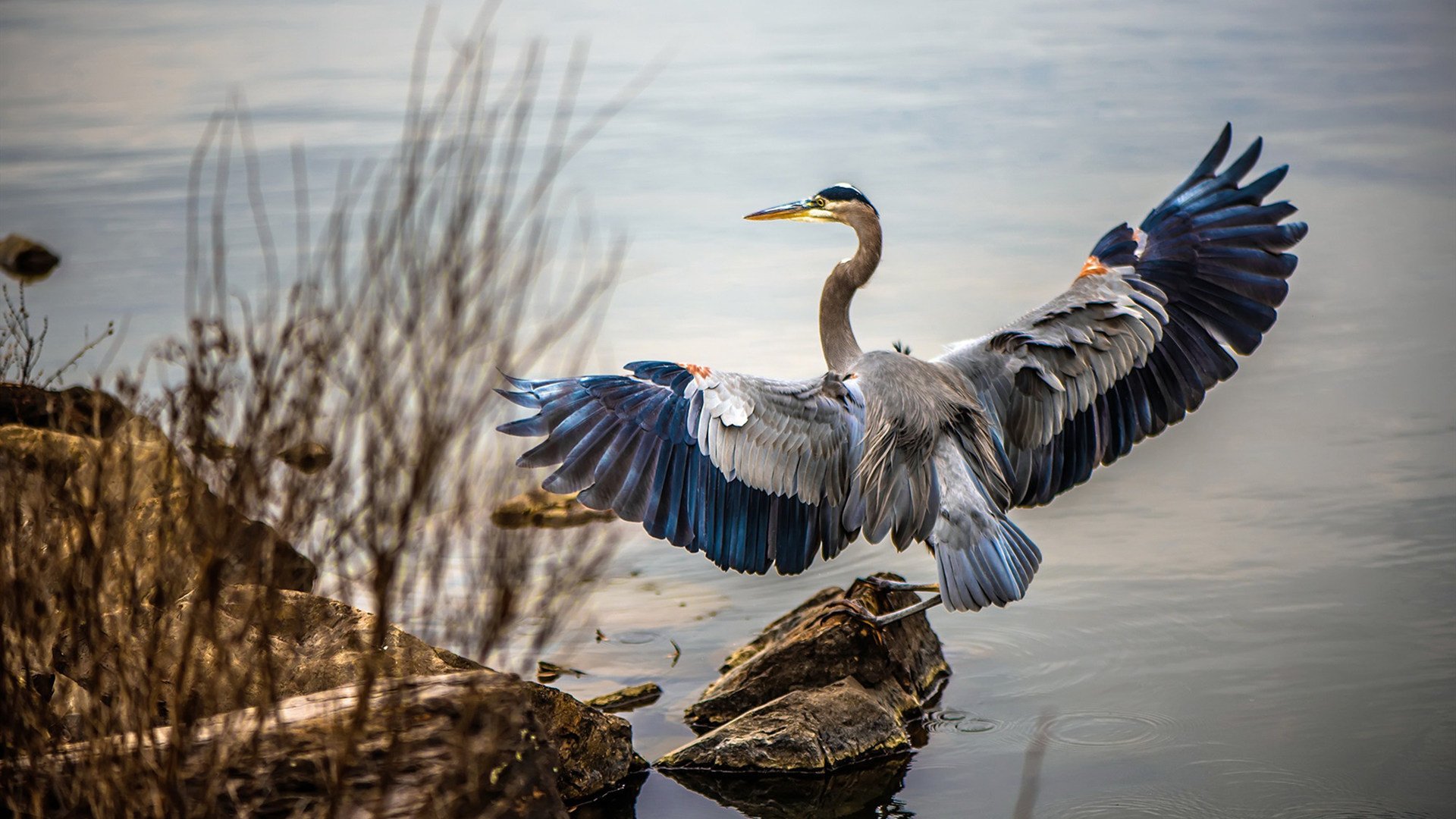 国家队锋线球员对抗能力短板明显，国家队最强锋线