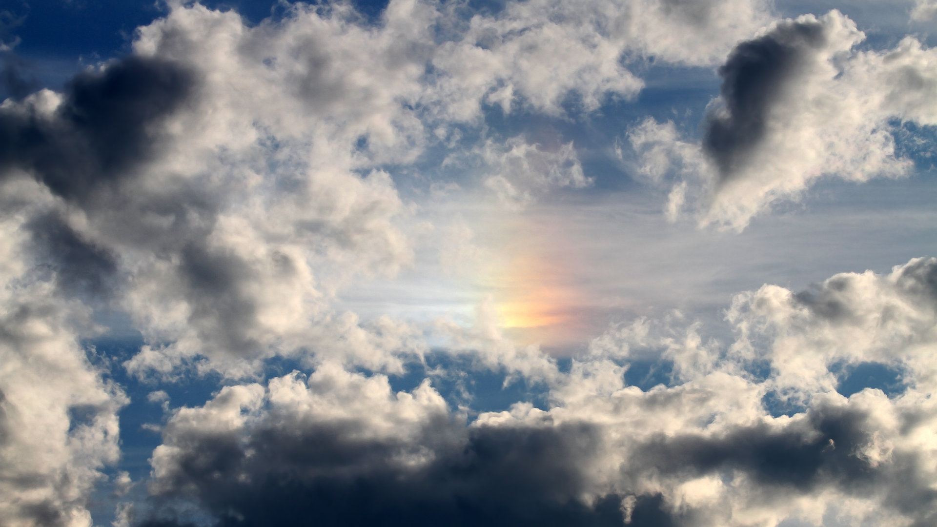 技术动作细节数据背后的故事，技术动作的形成过程