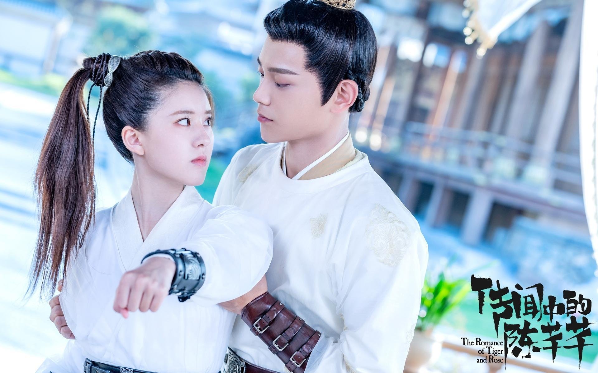 瑞典队战术深度解析：击球路线与对手博弈，瑞典队进球