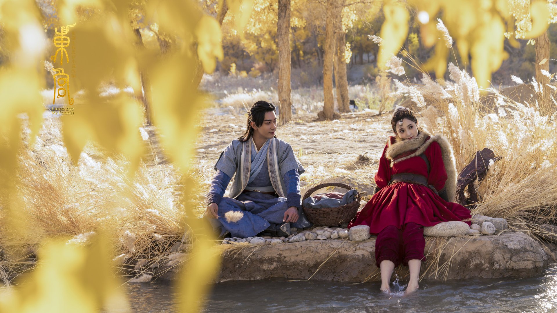 解析埃及赛制：如何让更多本土选手走向世界，埃及下一场比赛会赢吗