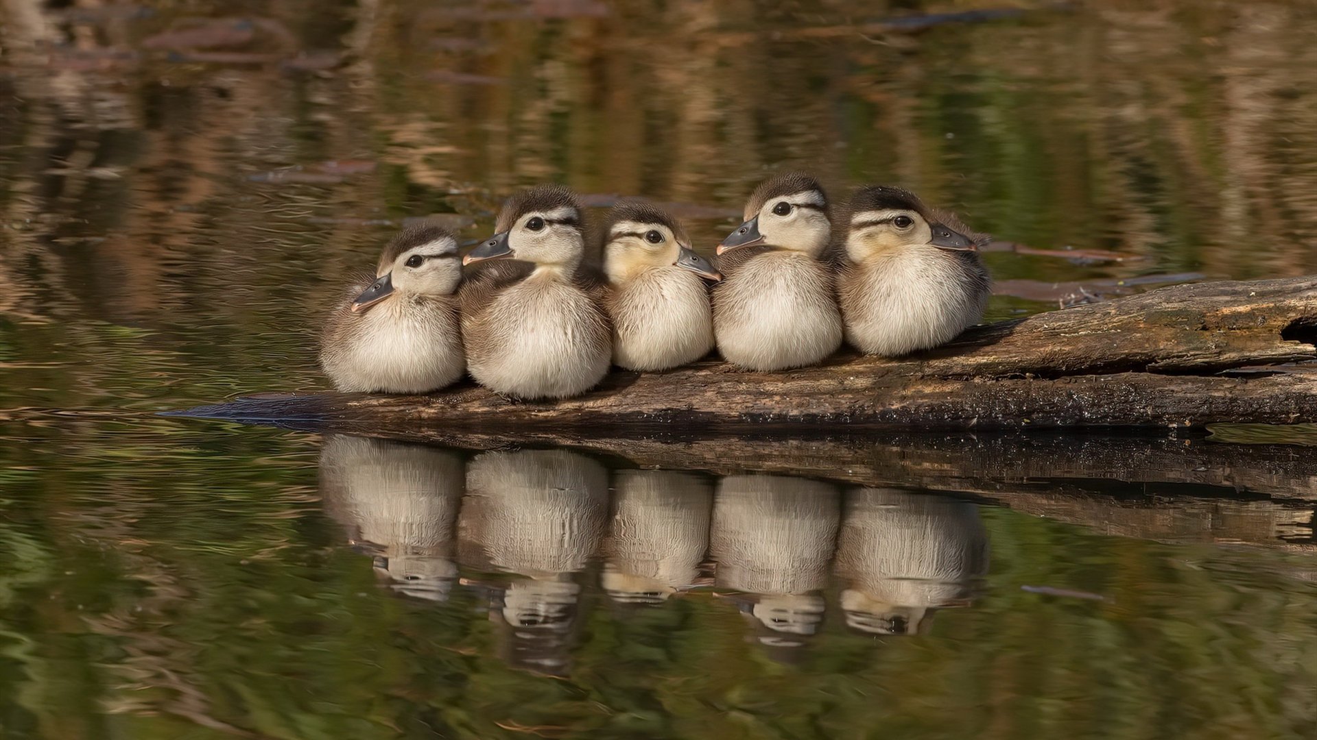 开云体育中国官网-中学篮球加强基本功训练提升技术水平，中学篮球训练中应注意哪些问题