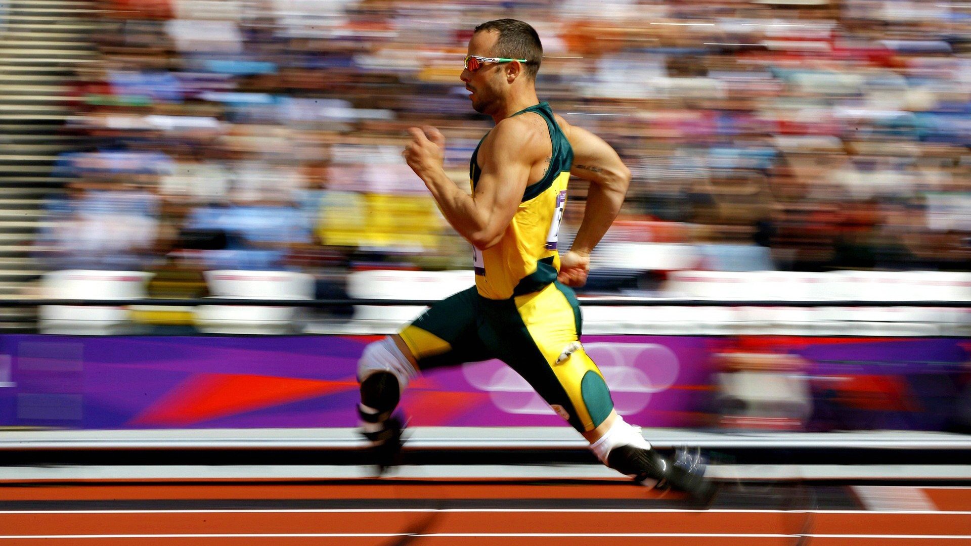 加拿大游泳技术优化助力成绩提升，加拿大国家游泳队